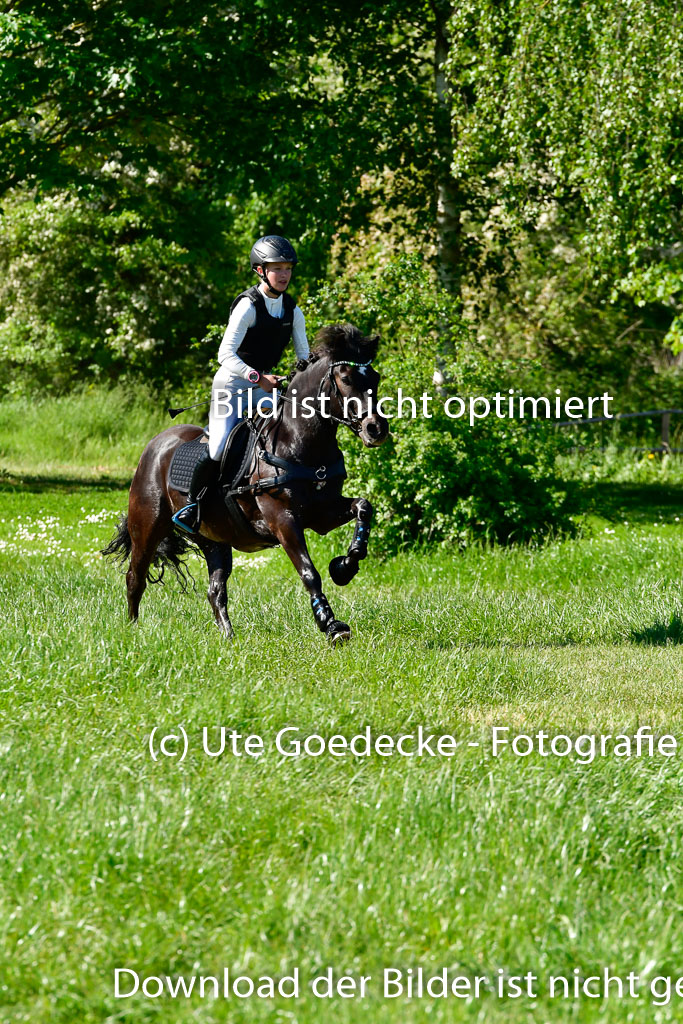 Goldene Schärpe Ponys in Hohen Luckow 1-4.6.23 | 04062023 Felicity werner - Ostwind_13 