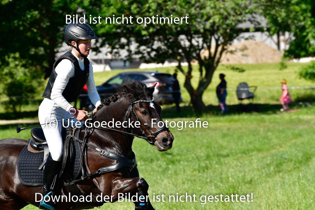 Goldene Schärpe Ponys in Hohen Luckow 1-4.6.23 | 04062023 Felicity werner - Ostwind_18
