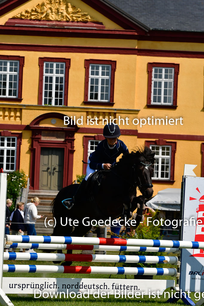 Goldene Schärpe Ponys in Hohen Luckow 1-4.6.23 | 04062023 Felicity werner - Ostwind_23