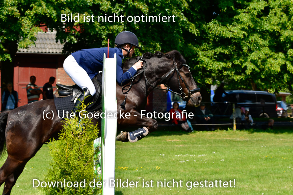 Goldene Schärpe Ponys in Hohen Luckow 1-4.6.23 | 04062023 Felicity werner - Ostwind_28