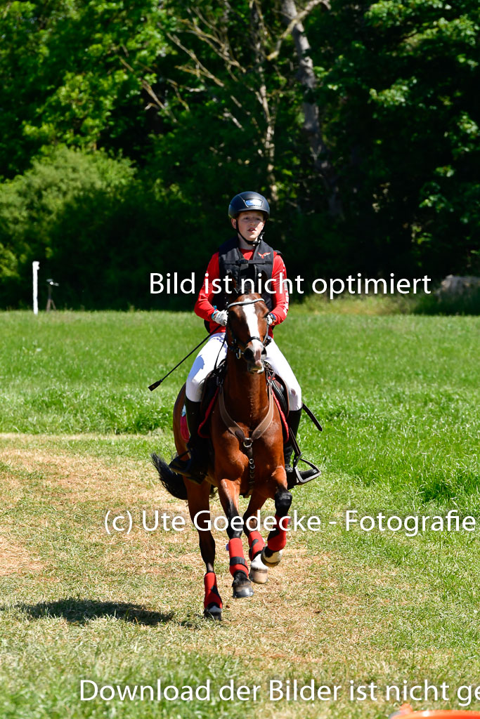 Goldene Schärpe Ponys in Hohen Luckow 1-4.6.23 | 04062023 Felix Triskatis  - Quedence 