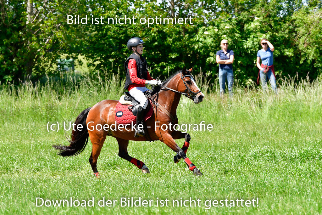 Goldene Schärpe Ponys in Hohen Luckow 1-4.6.23 | 04062023 Felix Triskatis  - Quedence_07 