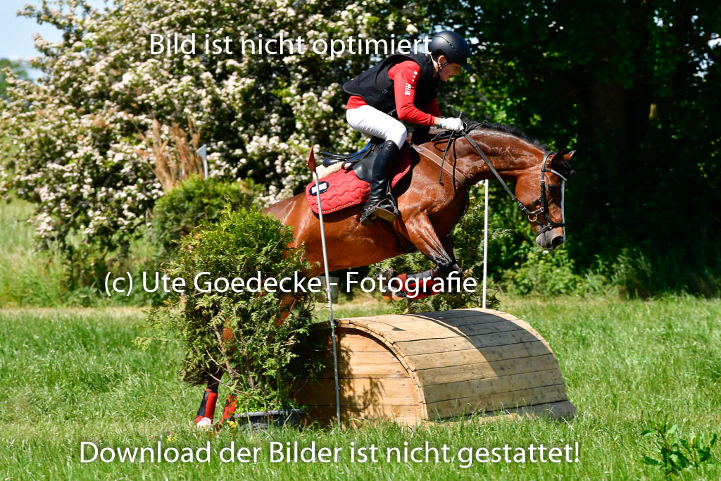 Goldene Schärpe Ponys in Hohen Luckow 1-4.6.23 | 04062023 Felix Triskatis  - Quedence_08 