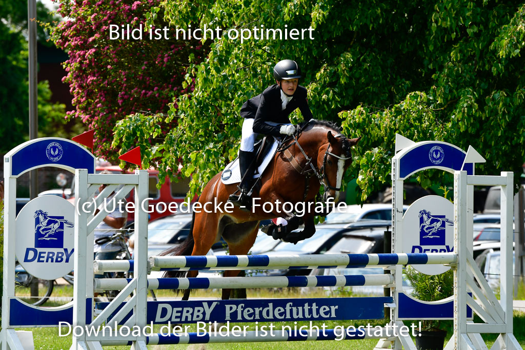 Goldene Schärpe Ponys in Hohen Luckow 1-4.6.23 | 04062023 Felix Triskatis  - Quedence_15 