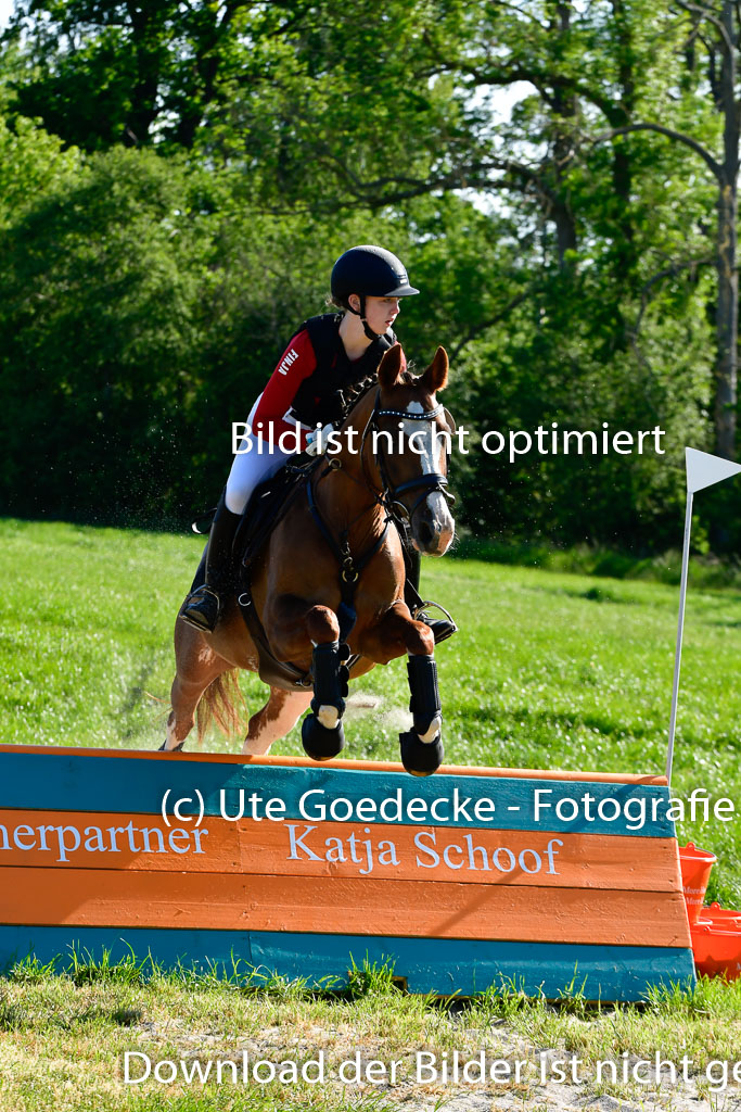 Goldene Schärpe Ponys in Hohen Luckow 1-4.6.23 | 04062023 Finnja Schruttke  - Great Stripe_02 