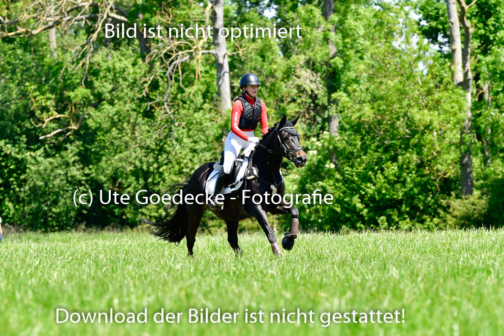 Goldene Schärpe Ponys in Hohen Luckow 1-4.6.23 | 04062023  Flora Endres - Dark Dynamite_04 