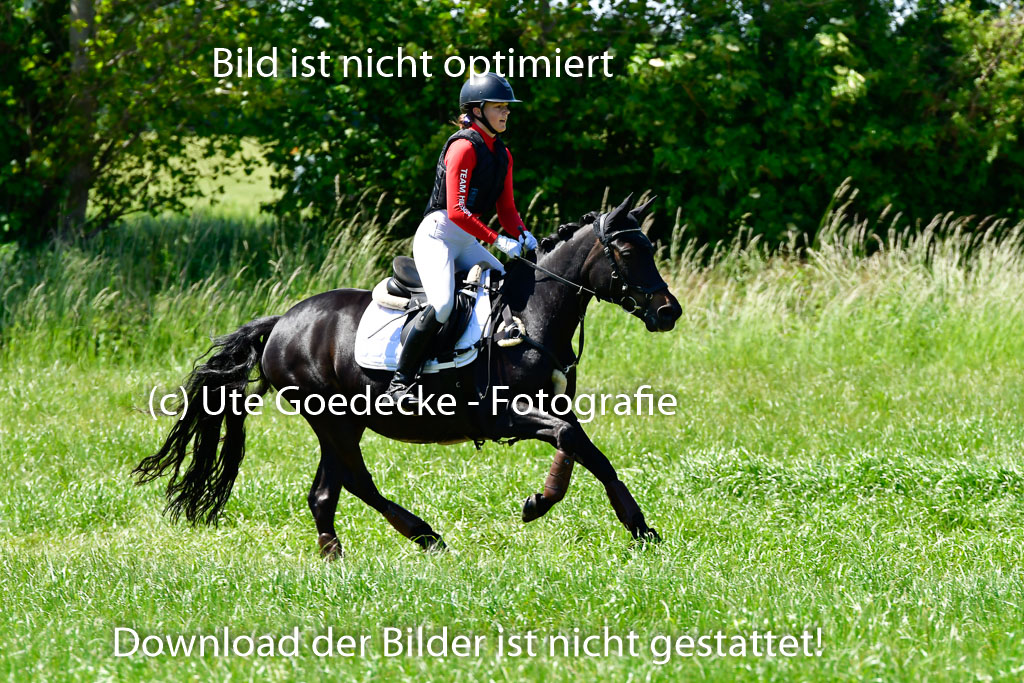 Goldene Schärpe Ponys in Hohen Luckow 1-4.6.23 | 04062023  Flora Endres - Dark Dynamite_07 