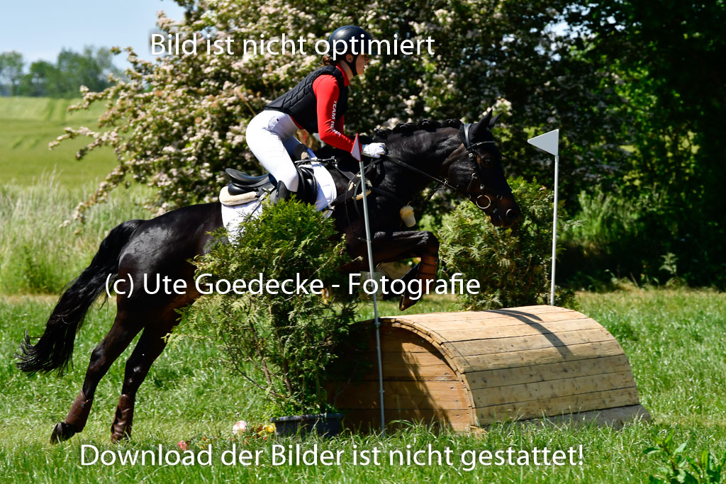 Goldene Schärpe Ponys in Hohen Luckow 1-4.6.23 | 04062023  Flora Endres - Dark Dynamite_08 