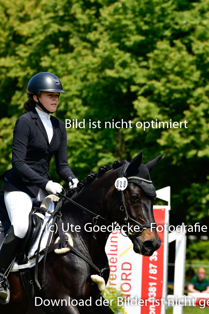Goldene Schärpe Ponys in Hohen Luckow 1-4.6.23 | 04062023 Flora Endres - Dark Dynamite_17