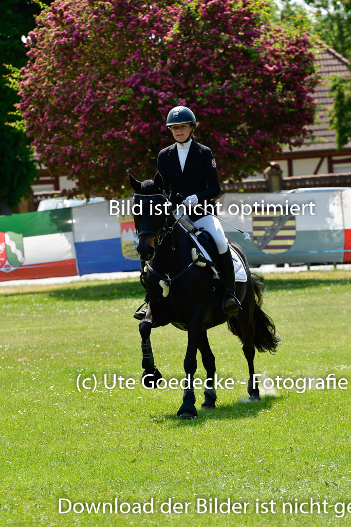 Goldene Schärpe Ponys in Hohen Luckow 1-4.6.23 | 04062023 Flora Endres - Dark Dynamite_24