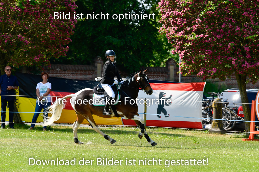 Goldene Schärpe Ponys in Hohen Luckow 1-4.6.23 | 04062023 Frida Kaden - Wiesenguts Maresciallo_10