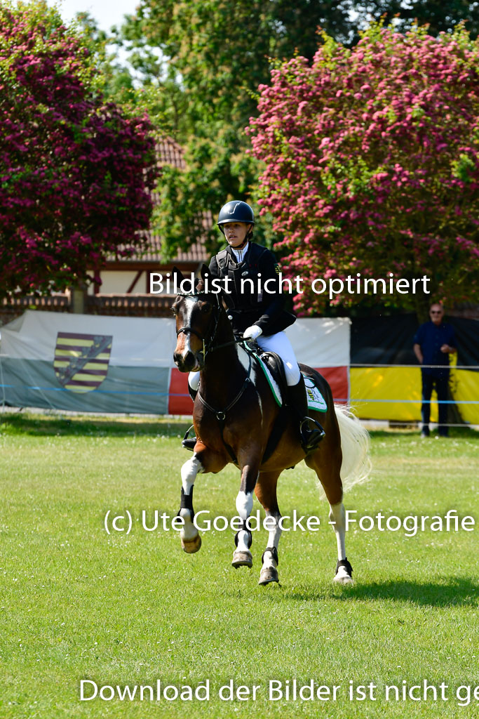 Goldene Schärpe Ponys in Hohen Luckow 1-4.6.23 | 04062023 Frida Kaden - Wiesenguts Maresciallo_15 