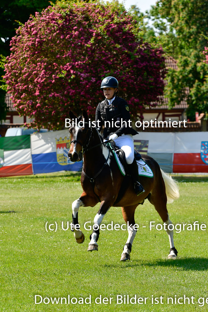 Goldene Schärpe Ponys in Hohen Luckow 1-4.6.23 | 04062023 Frida Kaden - Wiesenguts Maresciallo_16