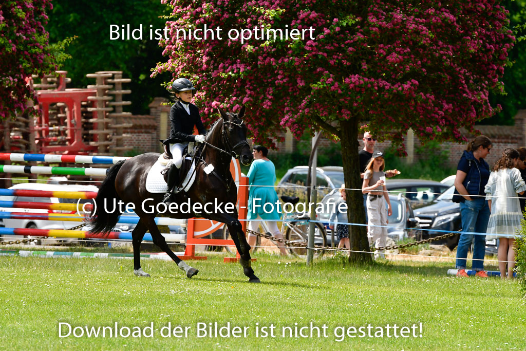 Goldene Schärpe Ponys in Hohen Luckow 1-4.6.23 | 04062023   Frieda Schulze Zurmussen - Milka_14 