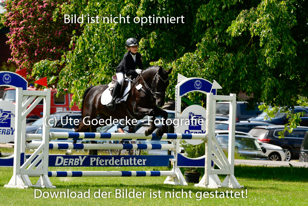 Goldene Schärpe Ponys in Hohen Luckow 1-4.6.23 | 04062023   Frieda Schulze Zurmussen - Milka_15 