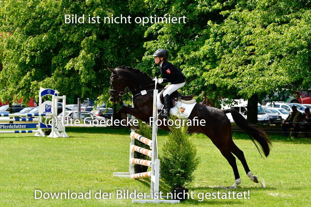 Goldene Schärpe Ponys in Hohen Luckow 1-4.6.23 | 04062023   Frieda Schulze Zurmussen - Milka_17 