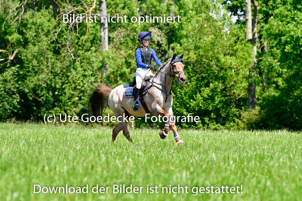 Goldene Schärpe Ponys in Hohen Luckow 1-4.6.23 | 04062023 Greta H Hagen - Nogger Boy_06