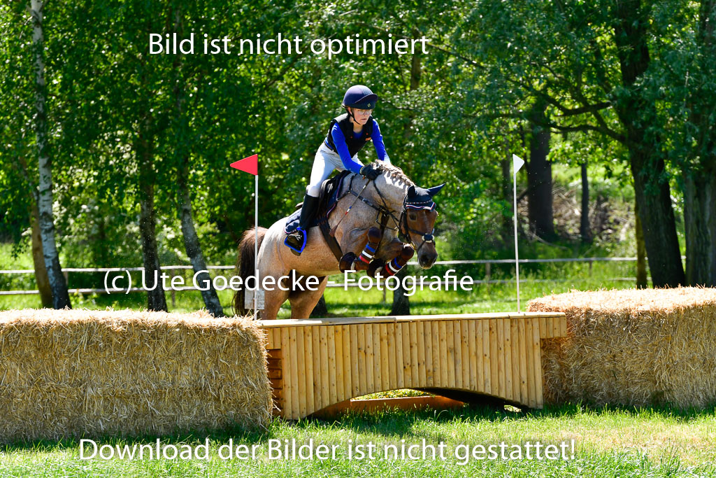 Goldene Schärpe Ponys in Hohen Luckow 1-4.6.23 | 04062023 Greta H Hagen - Nogger Boy_13