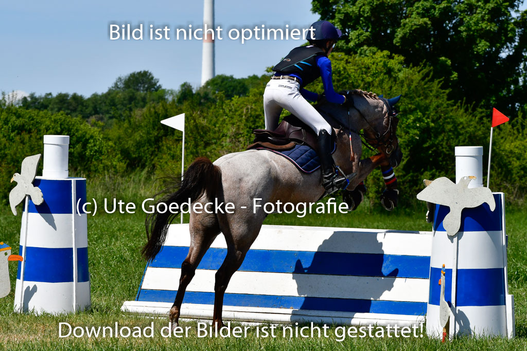 Goldene Schärpe Ponys in Hohen Luckow 1-4.6.23 | 04062023 Greta H Hagen - Nogger Boy_16