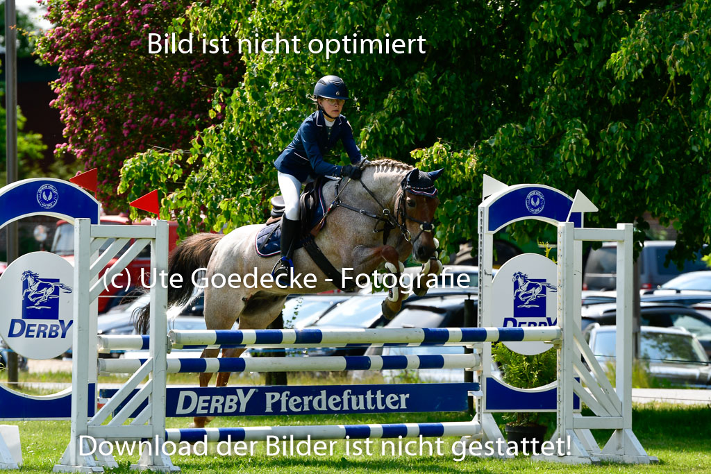 Goldene Schärpe Ponys in Hohen Luckow 1-4.6.23 | 04062023 Greta H  Hagen - Nogger Boy_22 