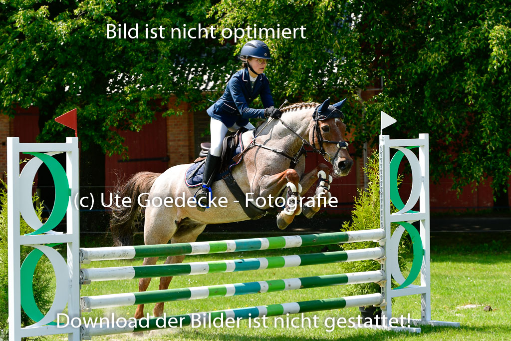 Goldene Schärpe Ponys in Hohen Luckow 1-4.6.23 | 04062023 Greta H  Hagen - Nogger Boy_23 