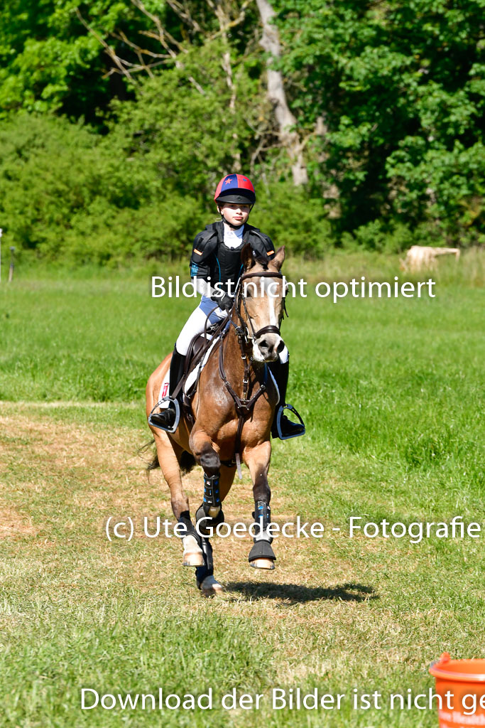 Goldene Schärpe Ponys in Hohen Luckow 1-4.6.23 | 04062023 Greta Marie Löhr - Dainy 