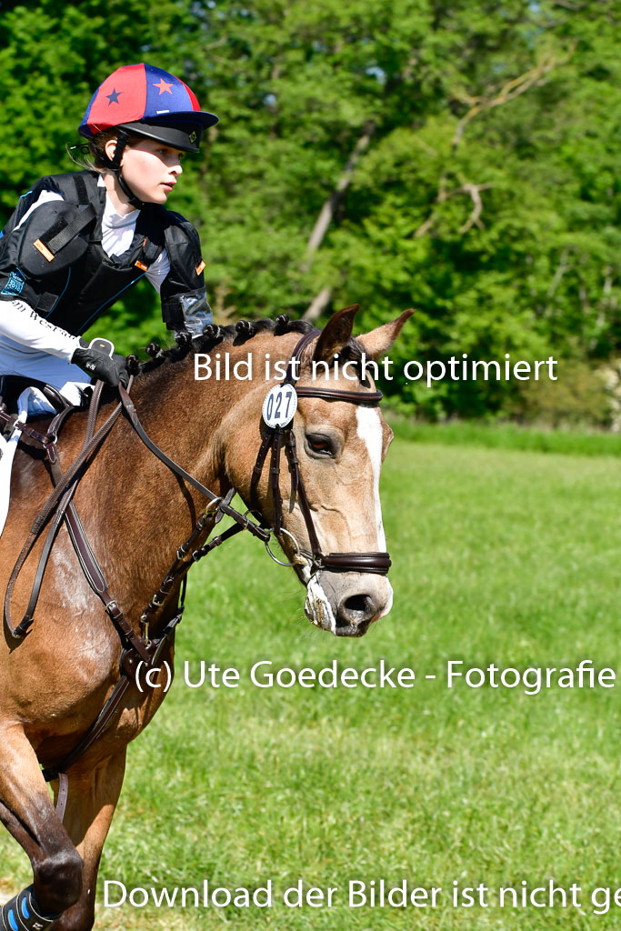 Goldene Schärpe Ponys in Hohen Luckow 1-4.6.23 | 04062023 Greta Marie Löhr - Dainy_04 