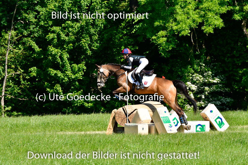 Goldene Schärpe Ponys in Hohen Luckow 1-4.6.23 | 04062023 Greta Marie Löhr - Dainy_06 