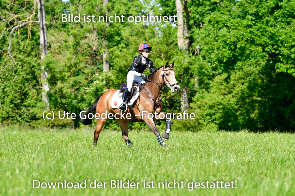 Goldene Schärpe Ponys in Hohen Luckow 1-4.6.23 | 04062023 Greta Marie Löhr - Dainy_07 