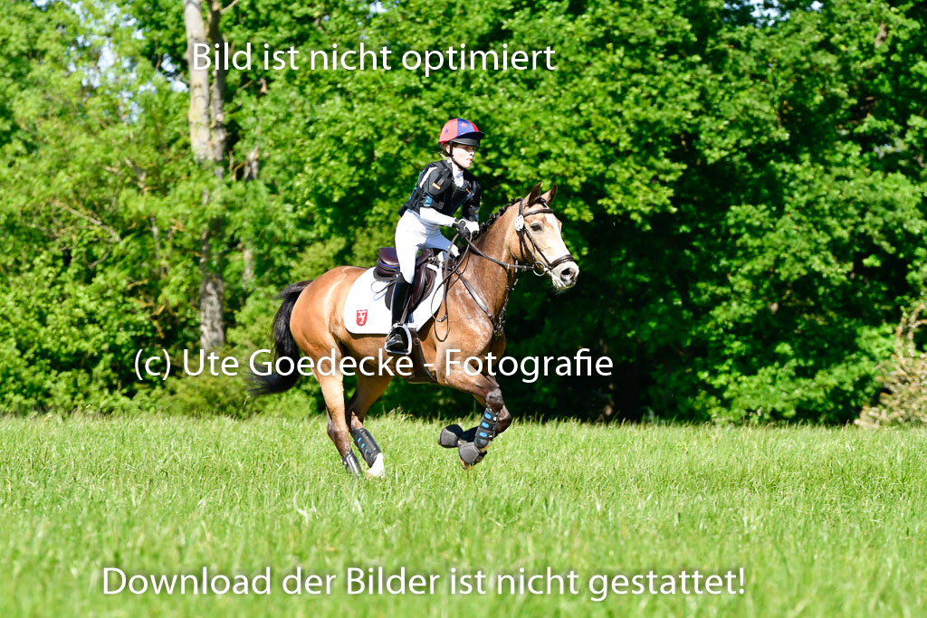 Goldene Schärpe Ponys in Hohen Luckow 1-4.6.23 | 04062023 Greta Marie Löhr - Dainy_08 