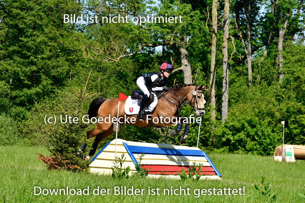 Goldene Schärpe Ponys in Hohen Luckow 1-4.6.23 | 04062023 Greta Marie Löhr - Dainy_10 