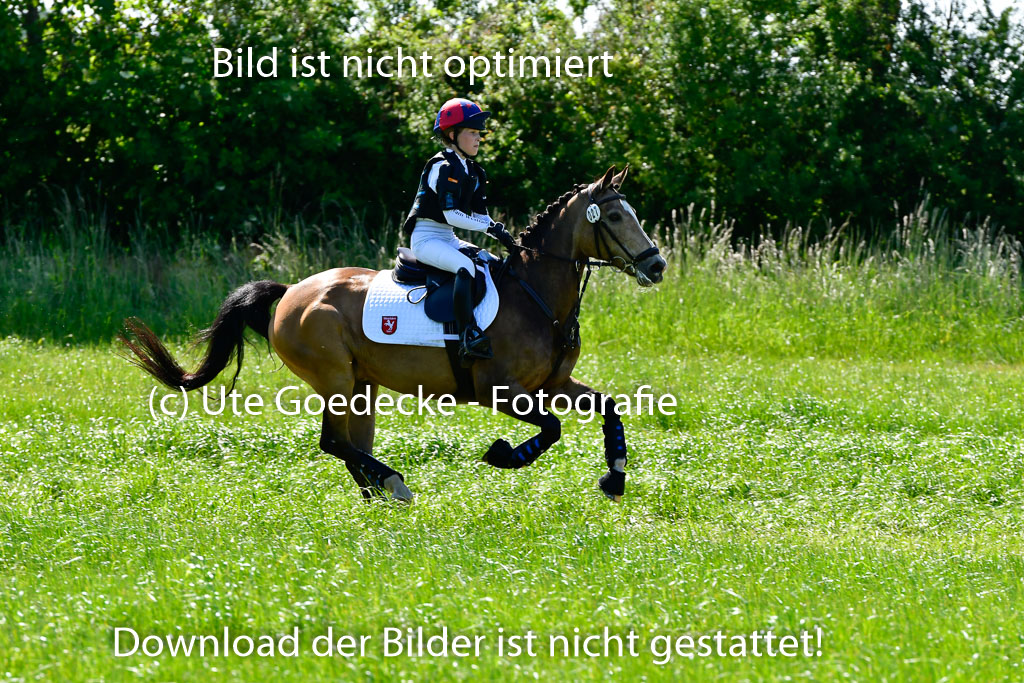 Goldene Schärpe Ponys in Hohen Luckow 1-4.6.23 | 04062023 Greta Marie Löhr - Dainy_11 