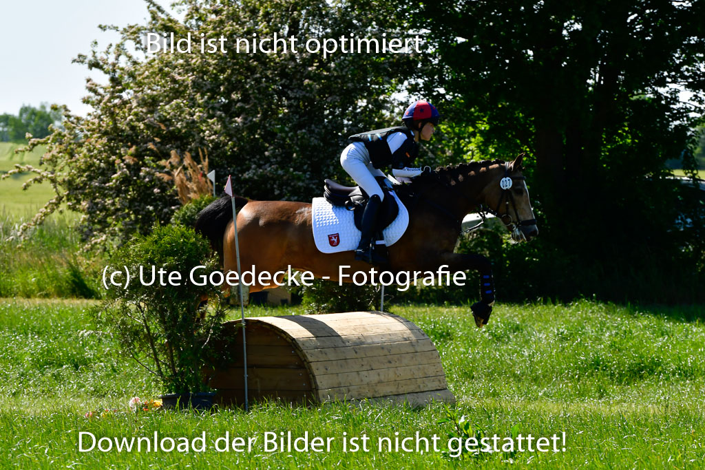 Goldene Schärpe Ponys in Hohen Luckow 1-4.6.23 | 04062023 Greta Marie Löhr - Dainy_13