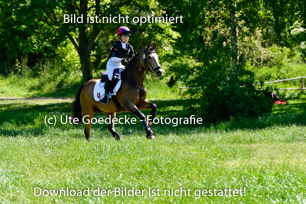 Goldene Schärpe Ponys in Hohen Luckow 1-4.6.23 | 04062023 Greta Marie Löhr - Dainy_14 