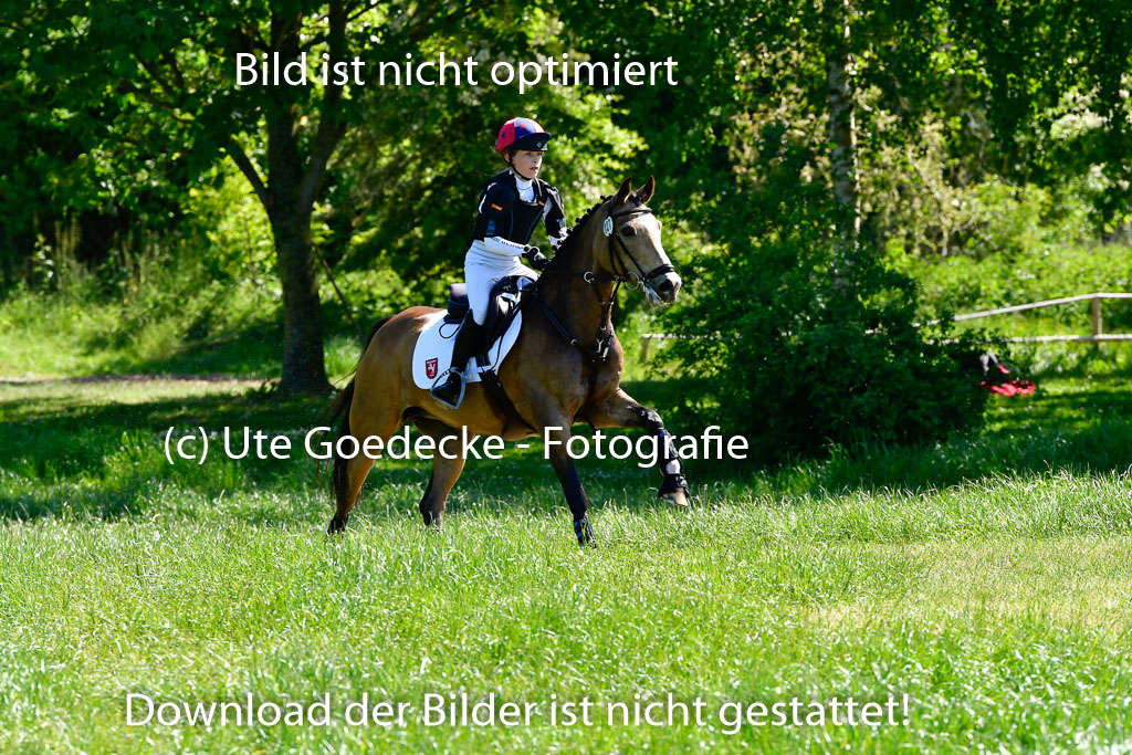 Goldene Schärpe Ponys in Hohen Luckow 1-4.6.23 | 04062023 Greta Marie Löhr - Dainy_15