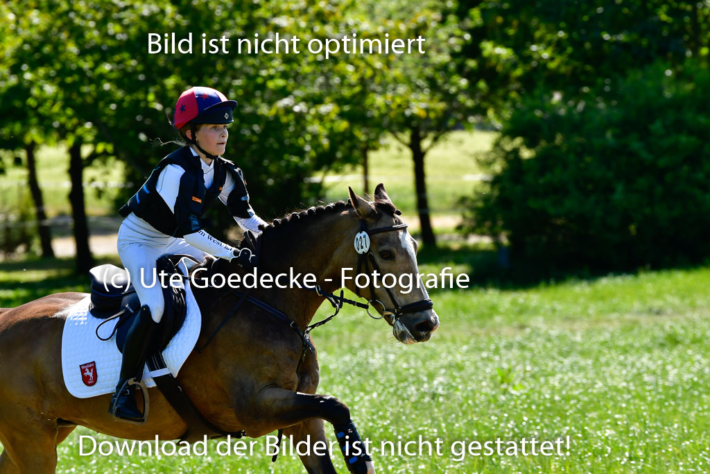 Goldene Schärpe Ponys in Hohen Luckow 1-4.6.23 | 04062023 Greta Marie Löhr - Dainy_20