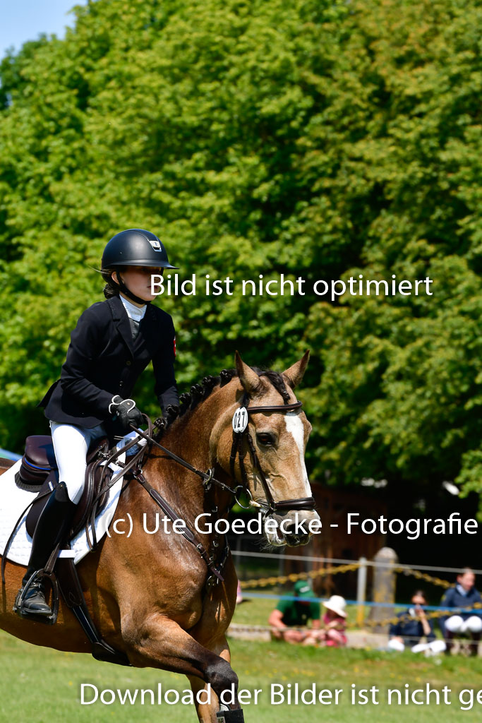 Goldene Schärpe Ponys in Hohen Luckow 1-4.6.23 | 04062023 Greta Marie Löhr - Dainy_24 