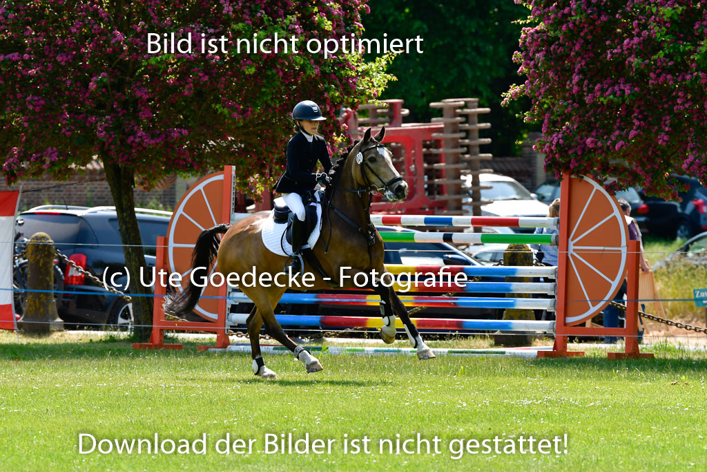 Goldene Schärpe Ponys in Hohen Luckow 1-4.6.23 | 04062023 Greta Marie Löhr - Dainy_25 