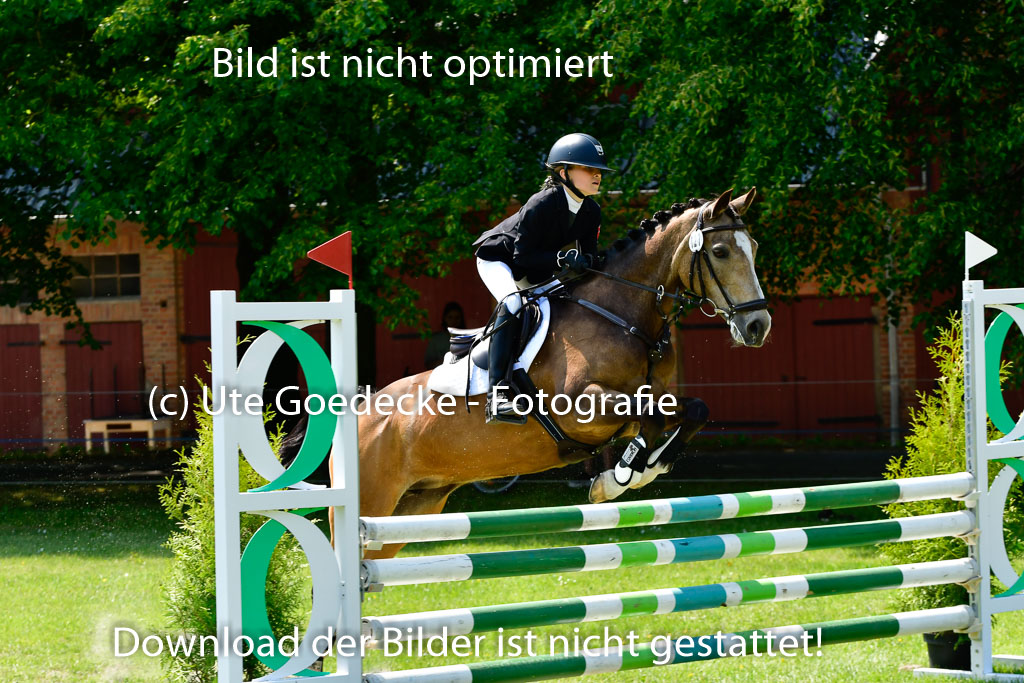 Goldene Schärpe Ponys in Hohen Luckow 1-4.6.23 | 04062023 Greta Marie Löhr - Dainy_26 