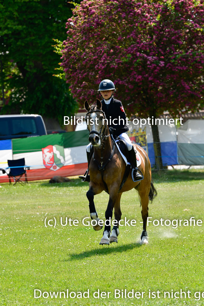 Goldene Schärpe Ponys in Hohen Luckow 1-4.6.23 | 04062023 Greta Marie Löhr - Dainy_28 