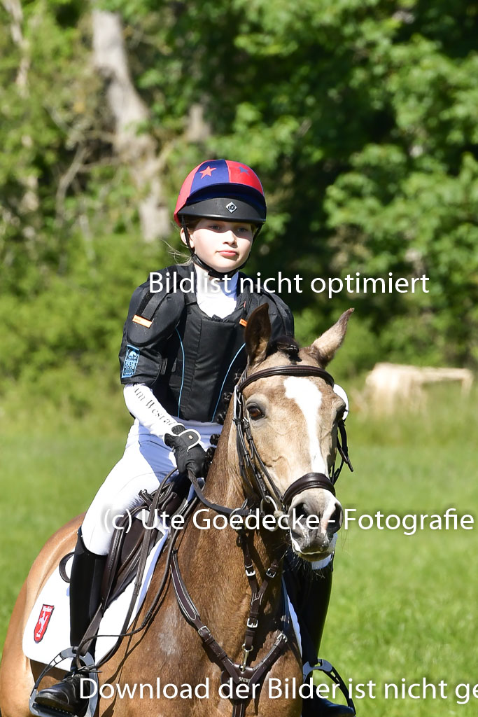 Goldene Schärpe Ponys in Hohen Luckow 1-4.6.23 | 04062023 Greta Marie Löhr - Dainy_29 