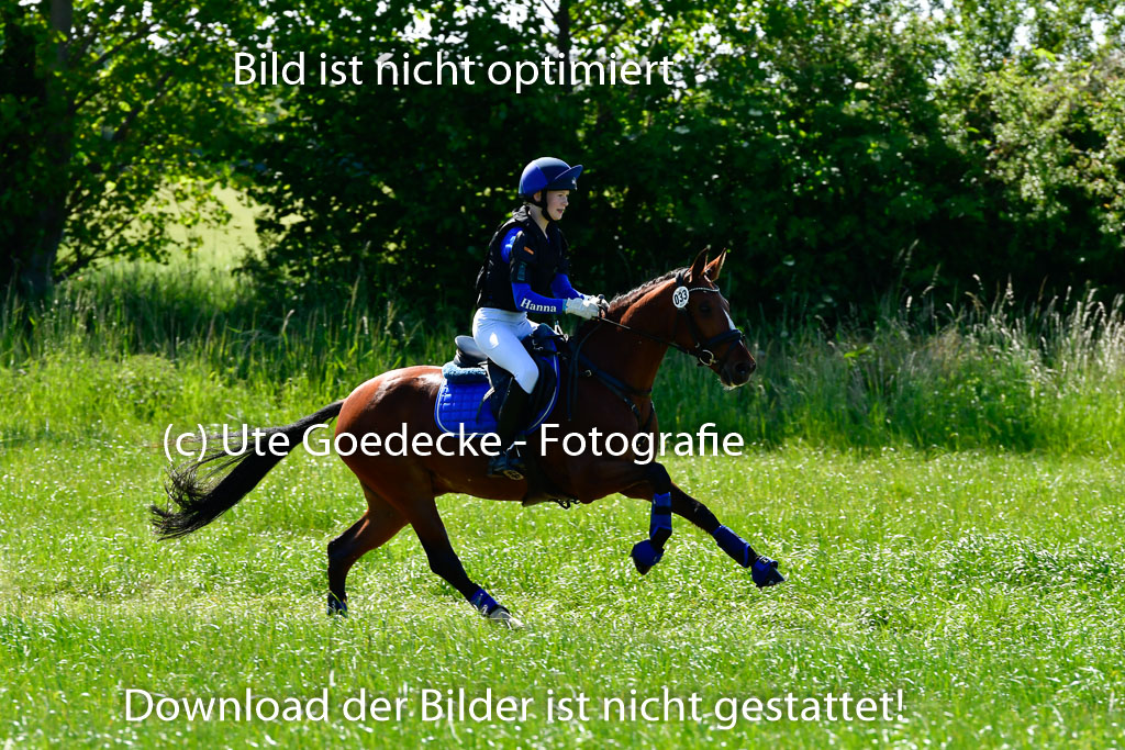 Goldene Schärpe Ponys in Hohen Luckow 1-4.6.23 | 04062023  Hanna Köpof - Dont stop me now010 