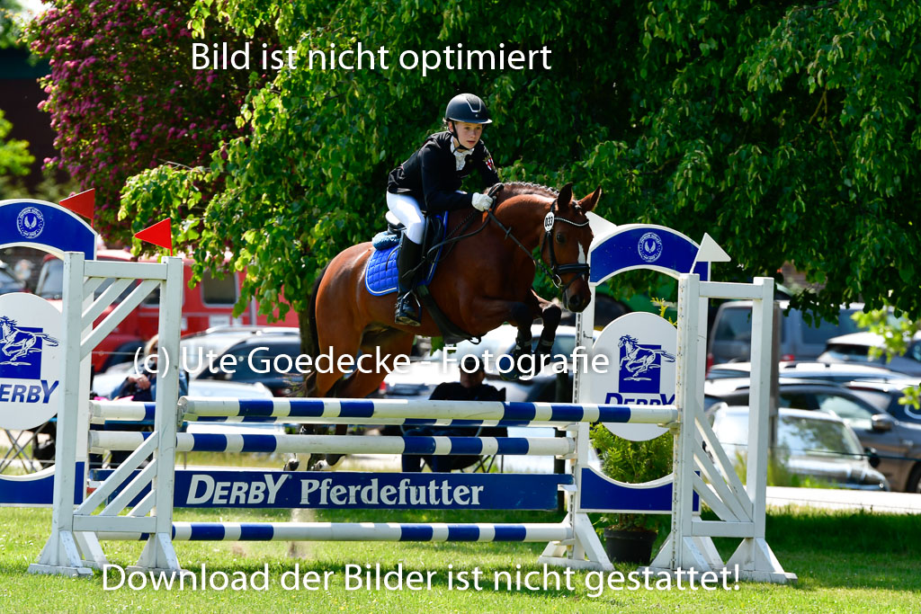 Goldene Schärpe Ponys in Hohen Luckow 1-4.6.23 | 04062023  Hanna Köpof - Dont stop me now024 