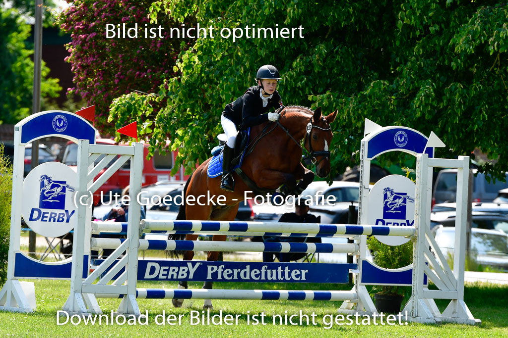 Goldene Schärpe Ponys in Hohen Luckow 1-4.6.23 | 04062023  Hanna Köpof - Dont stop me now025 