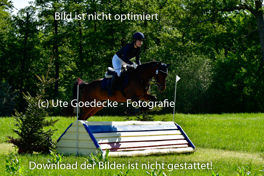 Goldene Schärpe Ponys in Hohen Luckow 1-4.6.23 | 04062023 Hanna Marie Koubin - Summertime_05 