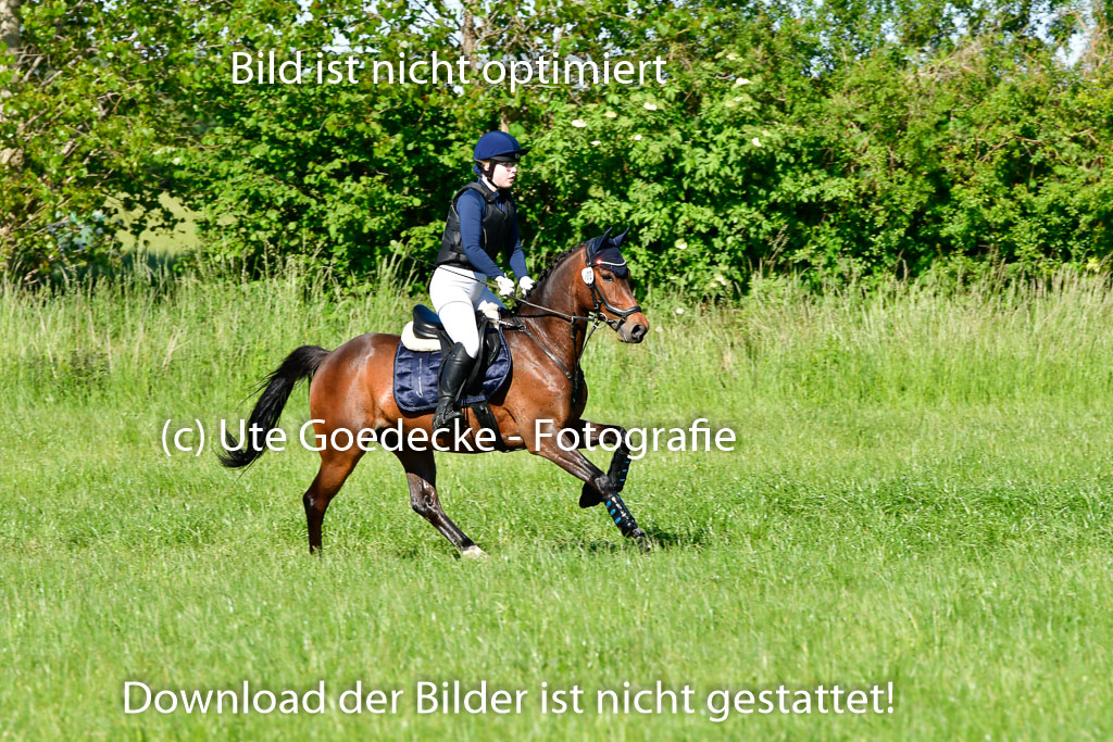 Goldene Schärpe Ponys in Hohen Luckow 1-4.6.23 | 04062023 Hanna Marie Koubin - Summertime_07 