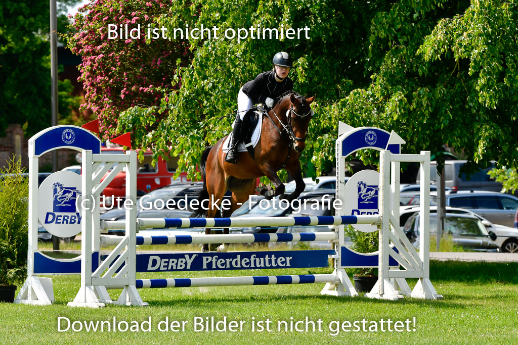 Goldene Schärpe Ponys in Hohen Luckow 1-4.6.23 | 04062023 Hanna Marie Koubin - Summertime_15 