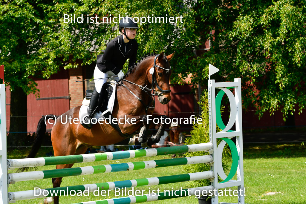 Goldene Schärpe Ponys in Hohen Luckow 1-4.6.23 | 04062023 Hanna Marie Koubin - Summertime_16 