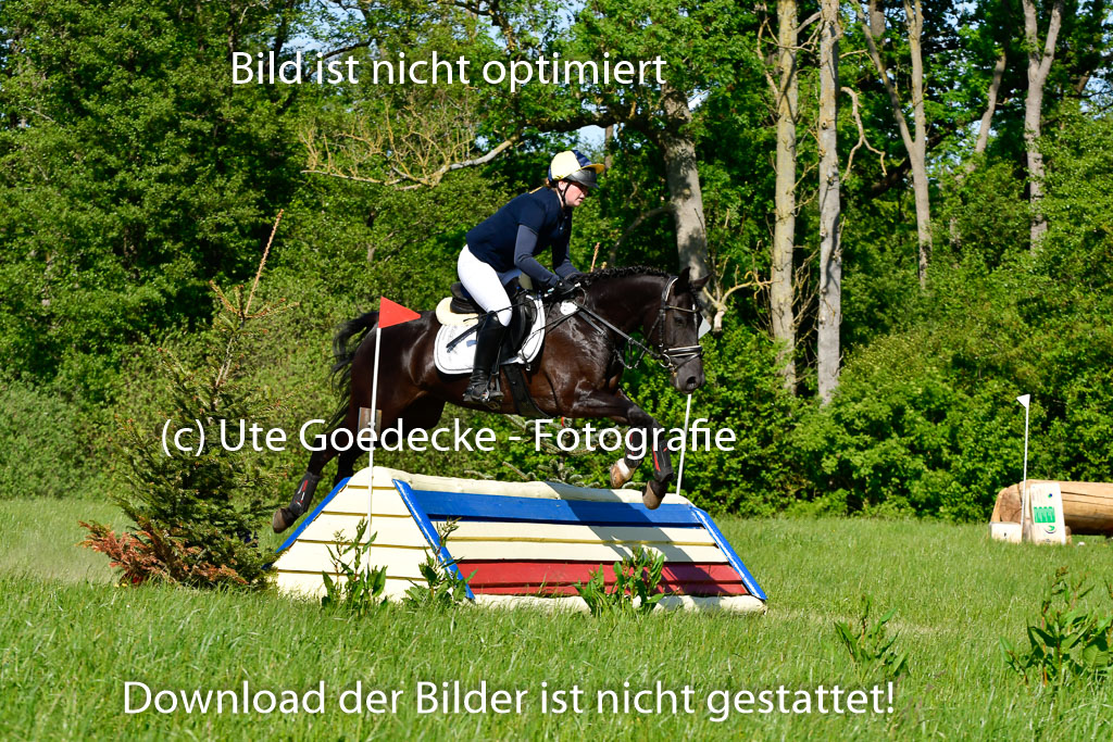 Goldene Schärpe Ponys in Hohen Luckow 1-4.6.23 | 04062023 Ilka Meyer - Sunnys Abbygale_05 