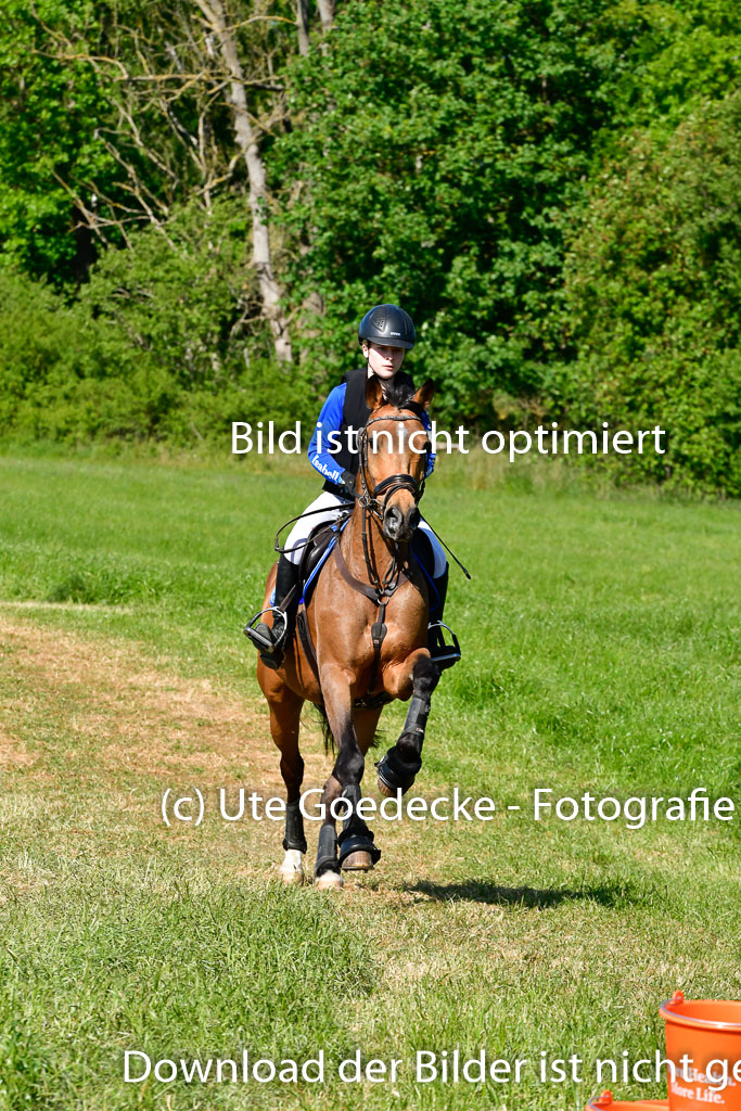 Goldene Schärpe Ponys in Hohen Luckow 1-4.6.23 | 04062023 Isabell Burghard - Contigo de Luxe 